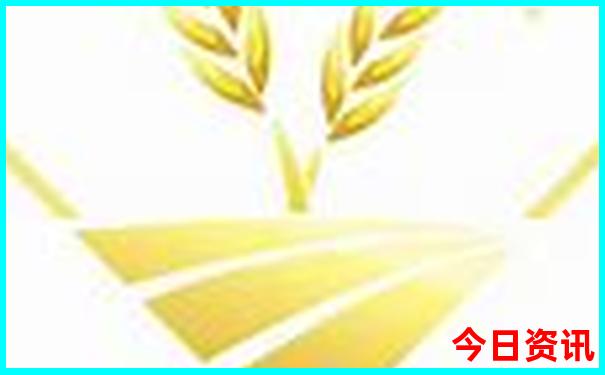 7月成都旅游攻略自由行攻略