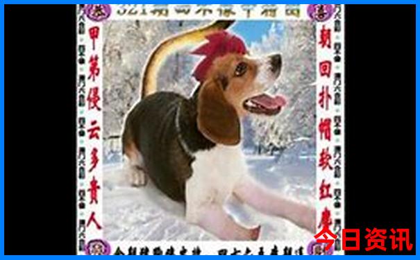 李官龙王庙旅游攻略