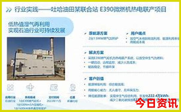 生肖三合6合表对照表